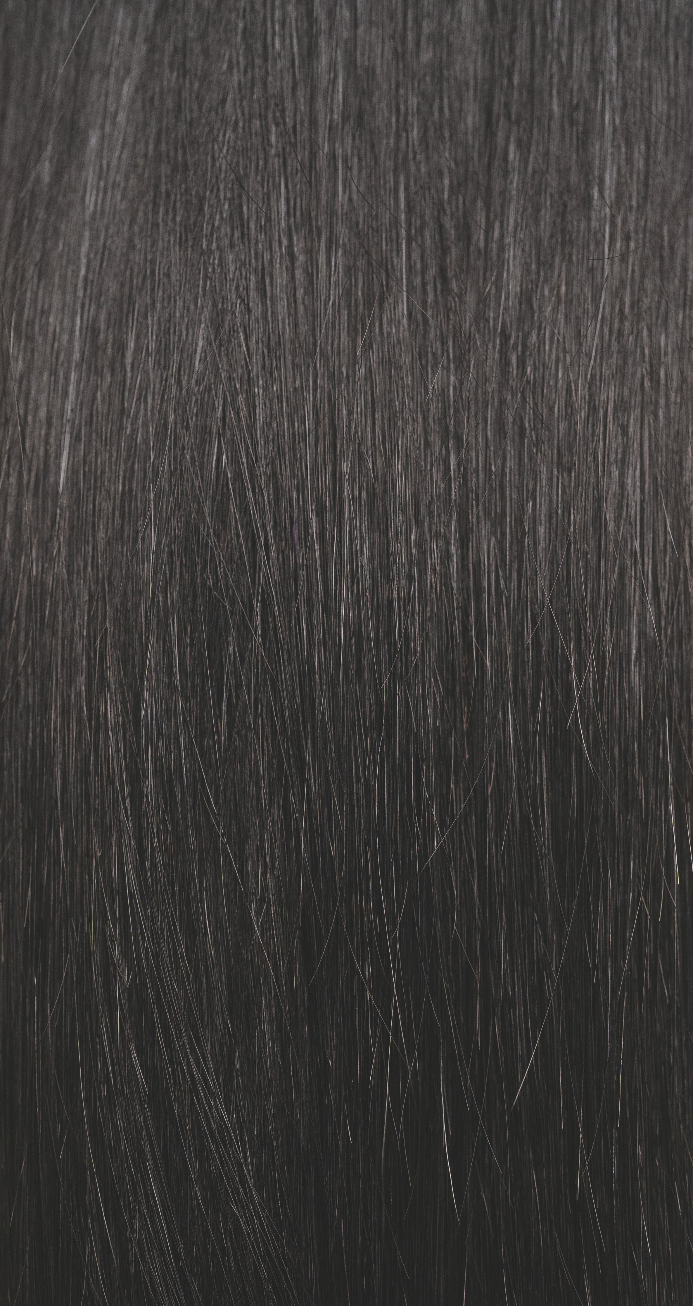 Velvet Black (#1) - Slavic Clip-In Extensions
