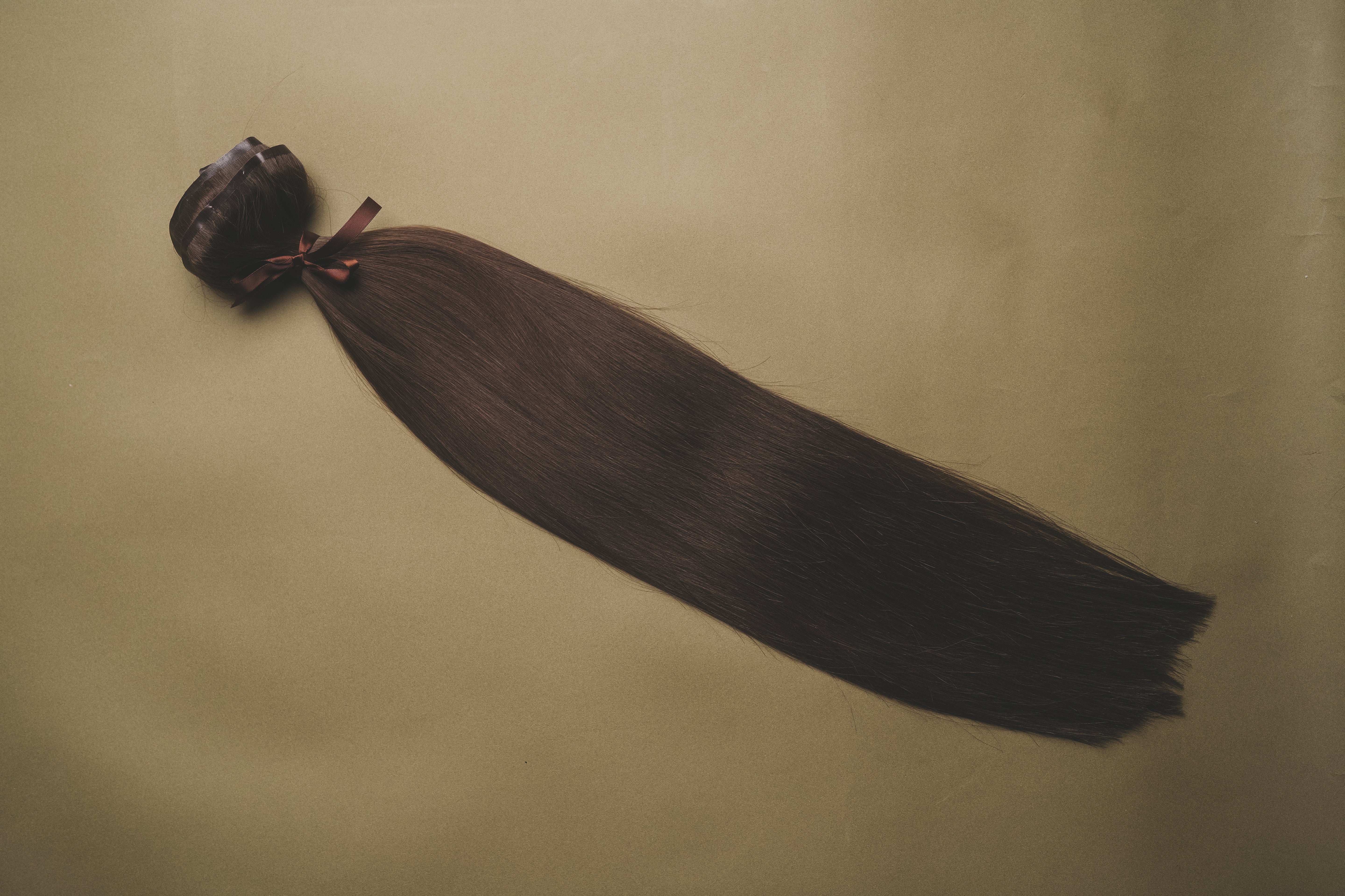 Ash Brown (#1c) - Slavic Clip-In Extensions