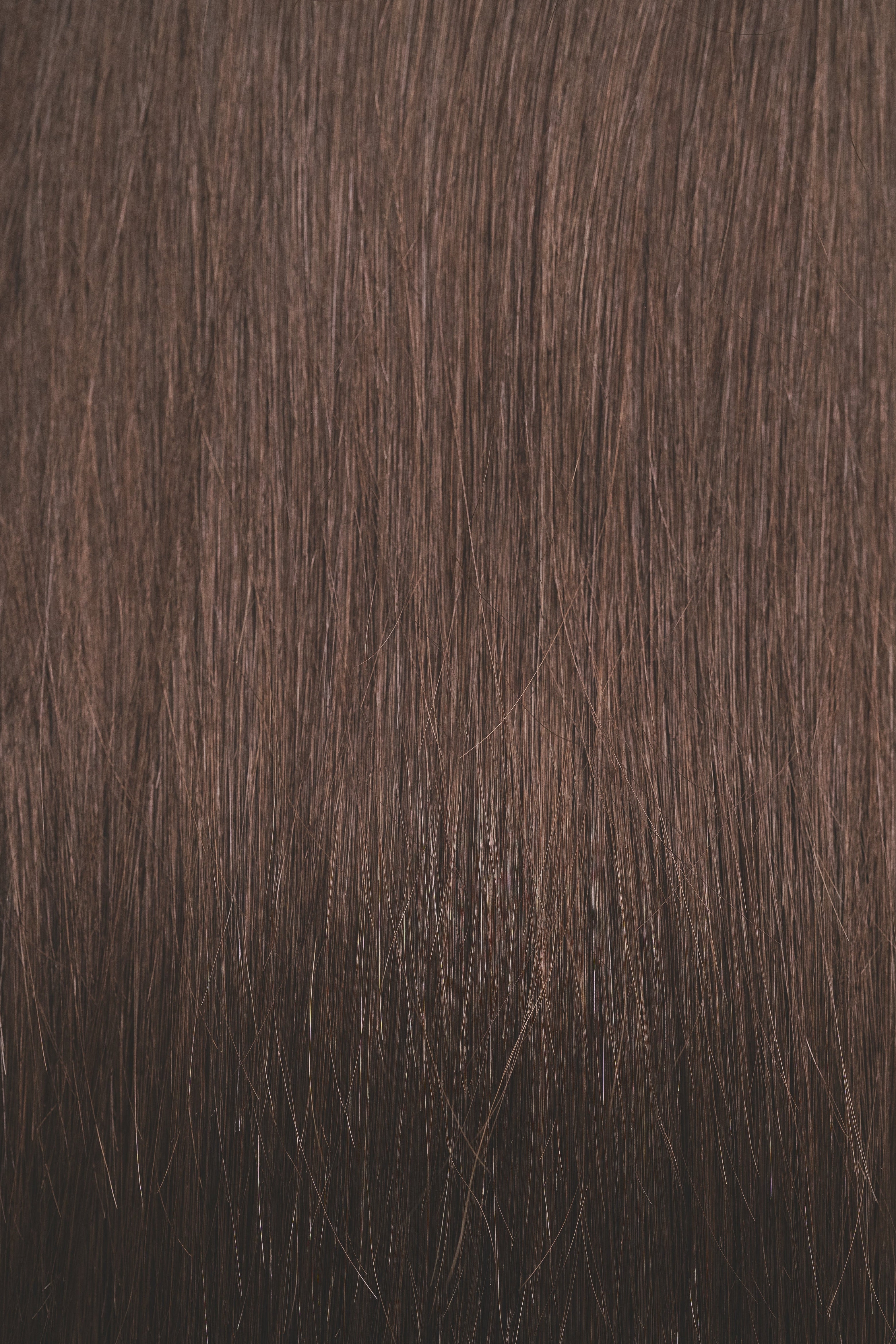 Ash Brown (#1c) - Slavic Clip-In Extensions