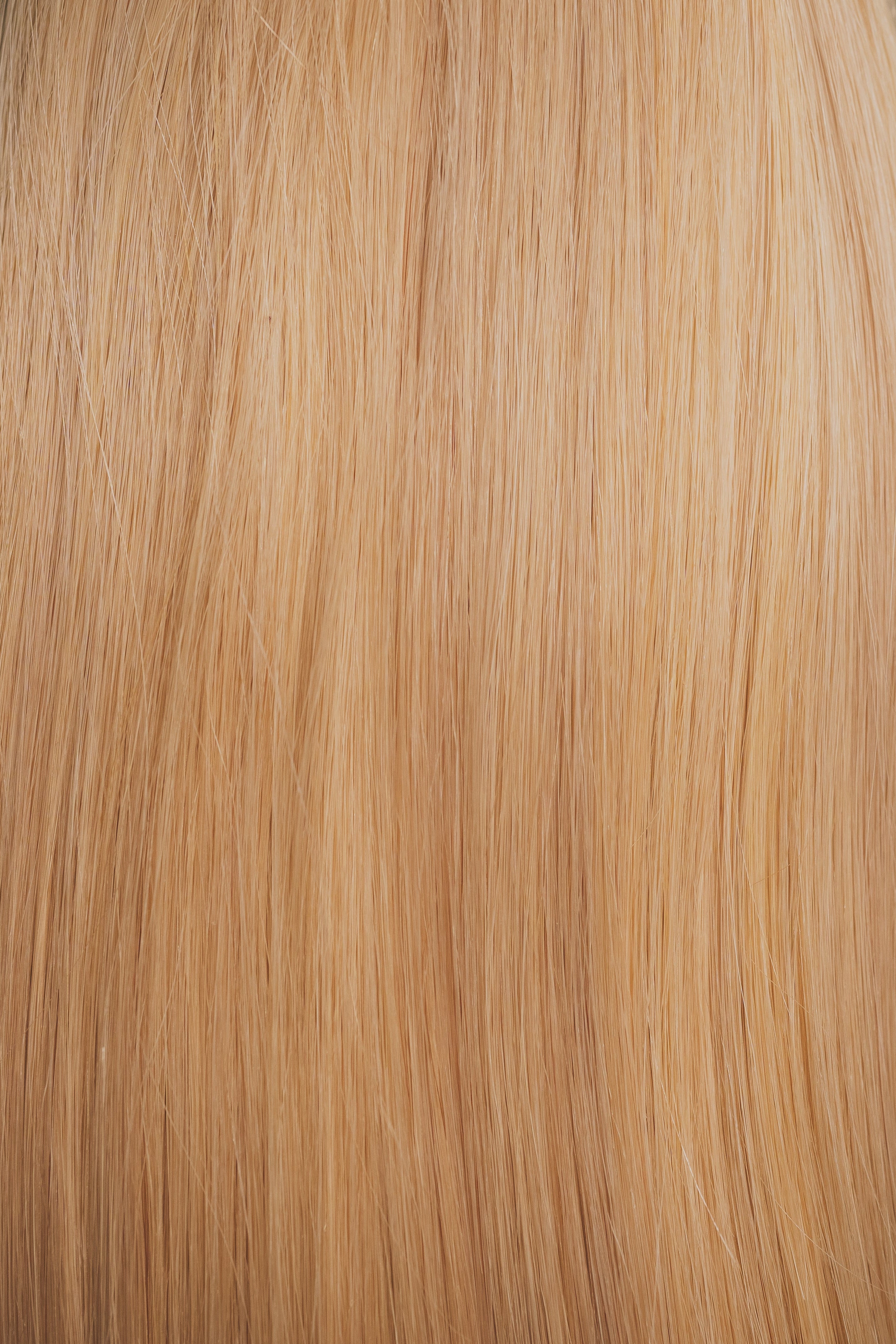 Beige Buttery Blonde W Lowlights (#27+60 piano) - Slavic Clip-In Extensions