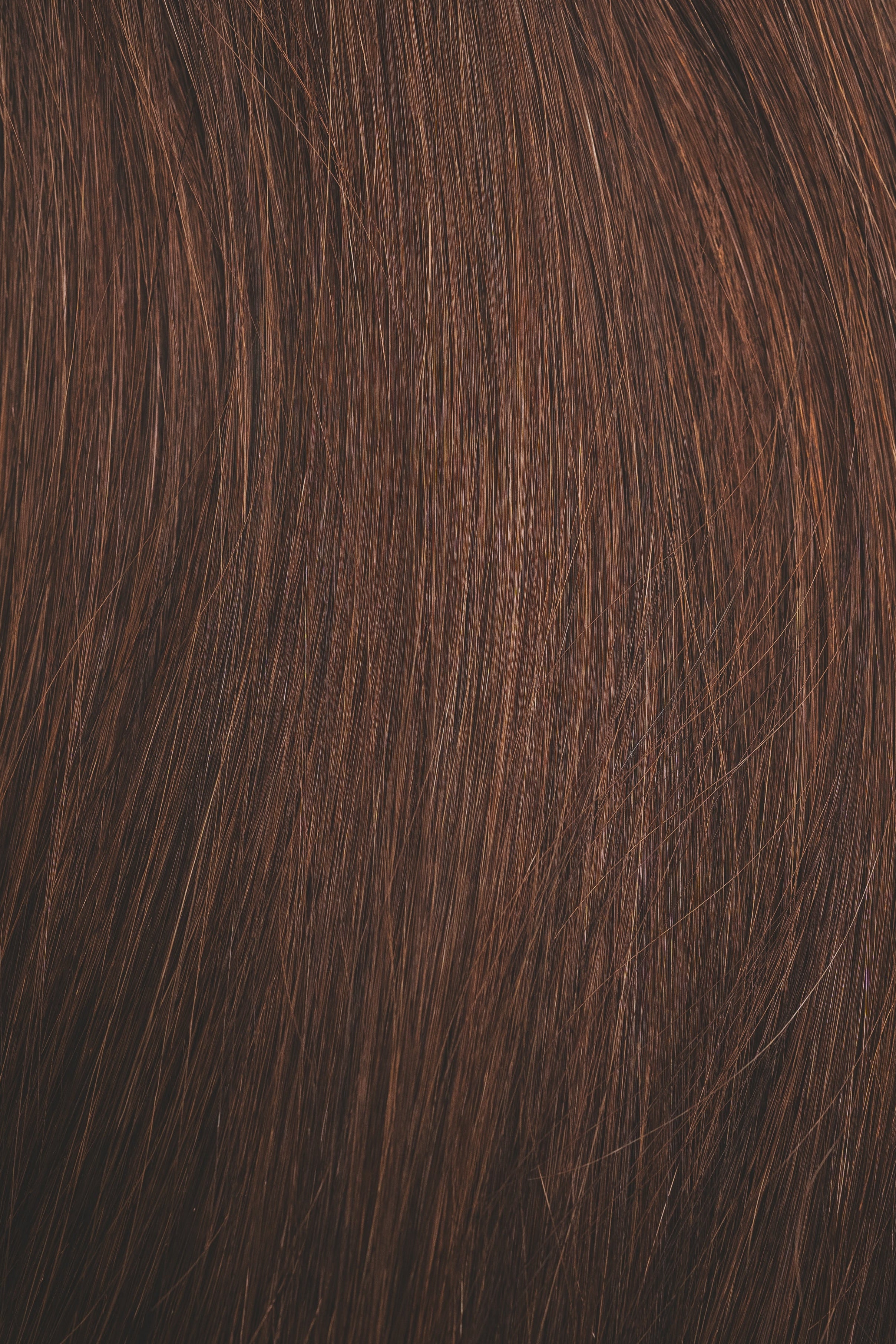 Warm Medium Brown (#2q) - Slavic Clip-In Extensions