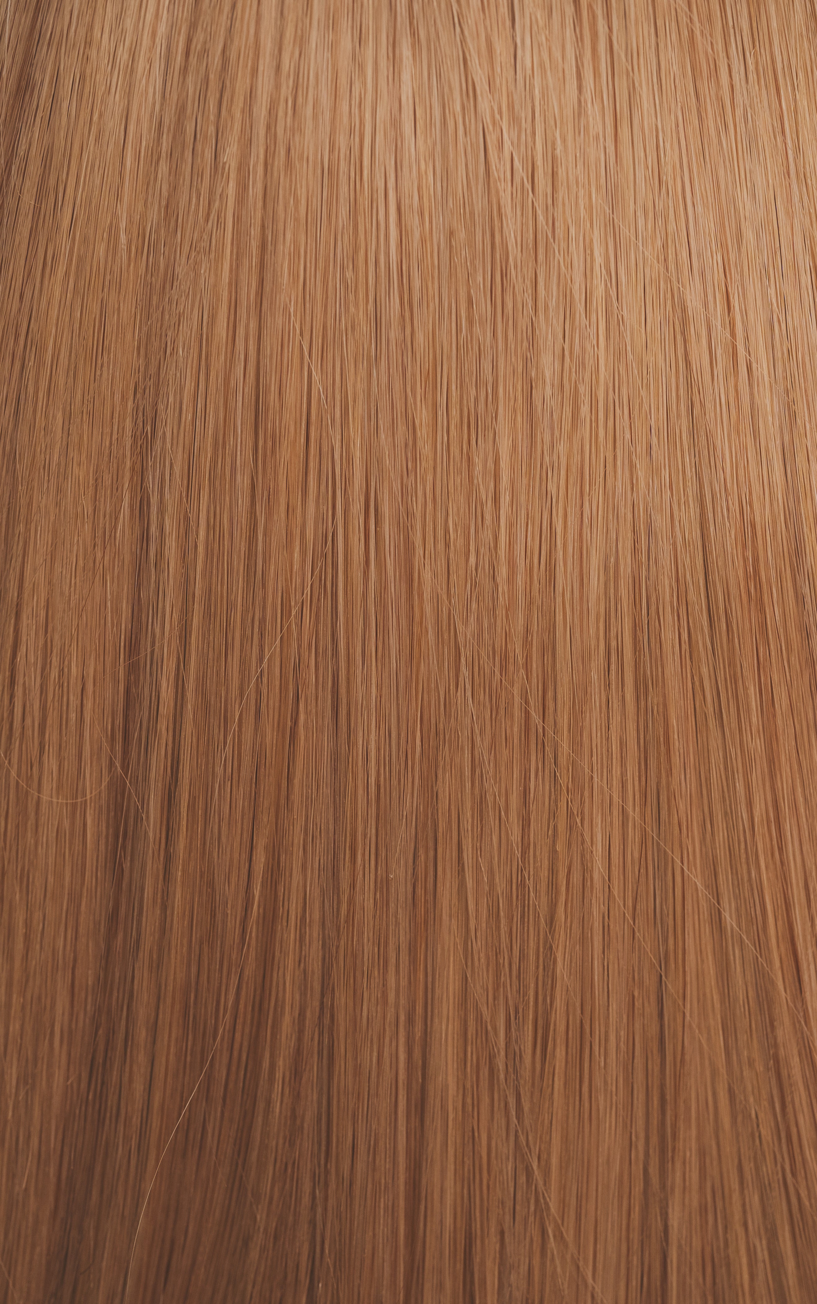 Rooted Honey Blonde (#3q/27 ombre) - Slavic Clip-In Extensions