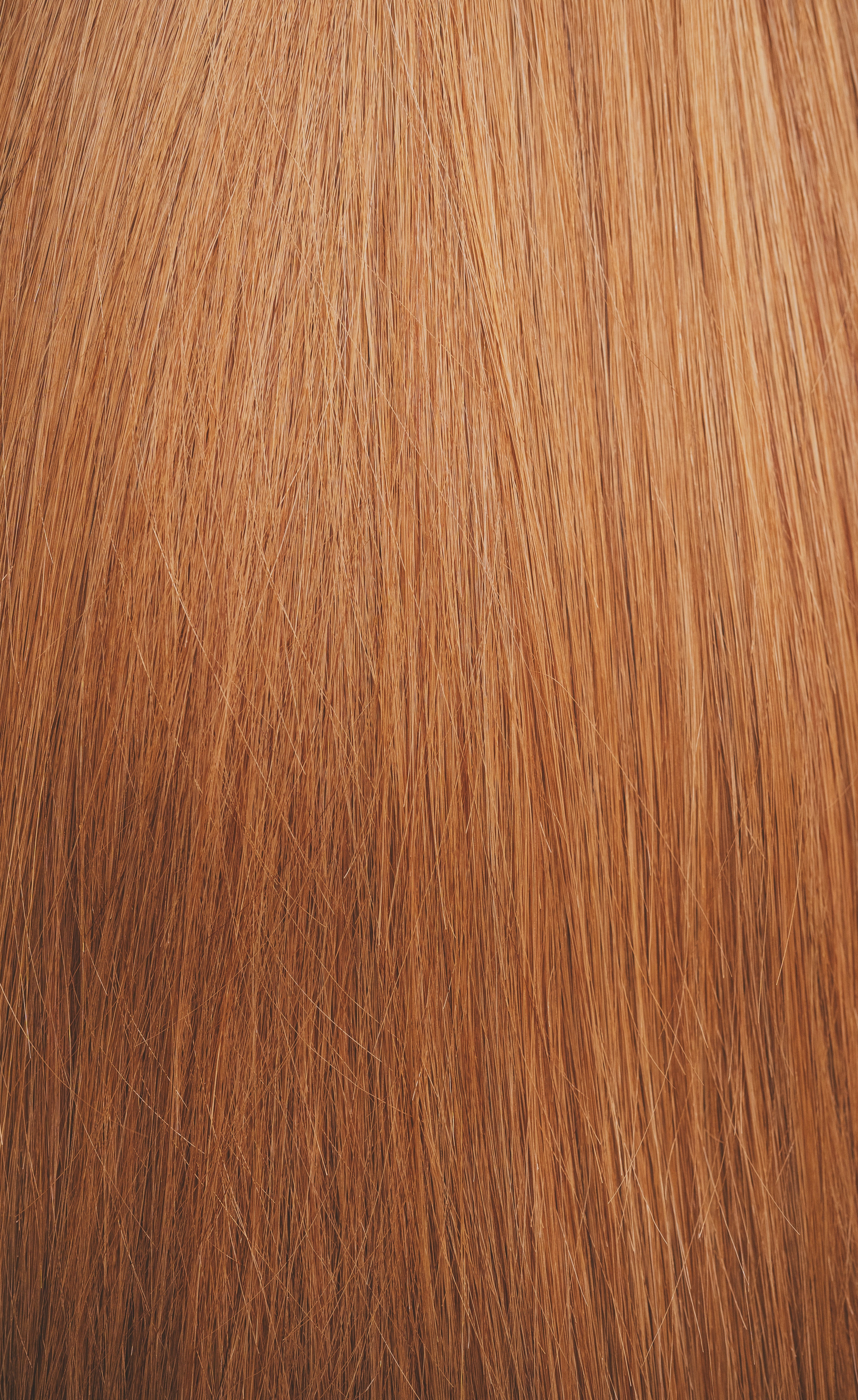 Warm Bronde (#8) - Slavic Clip-In Extensions