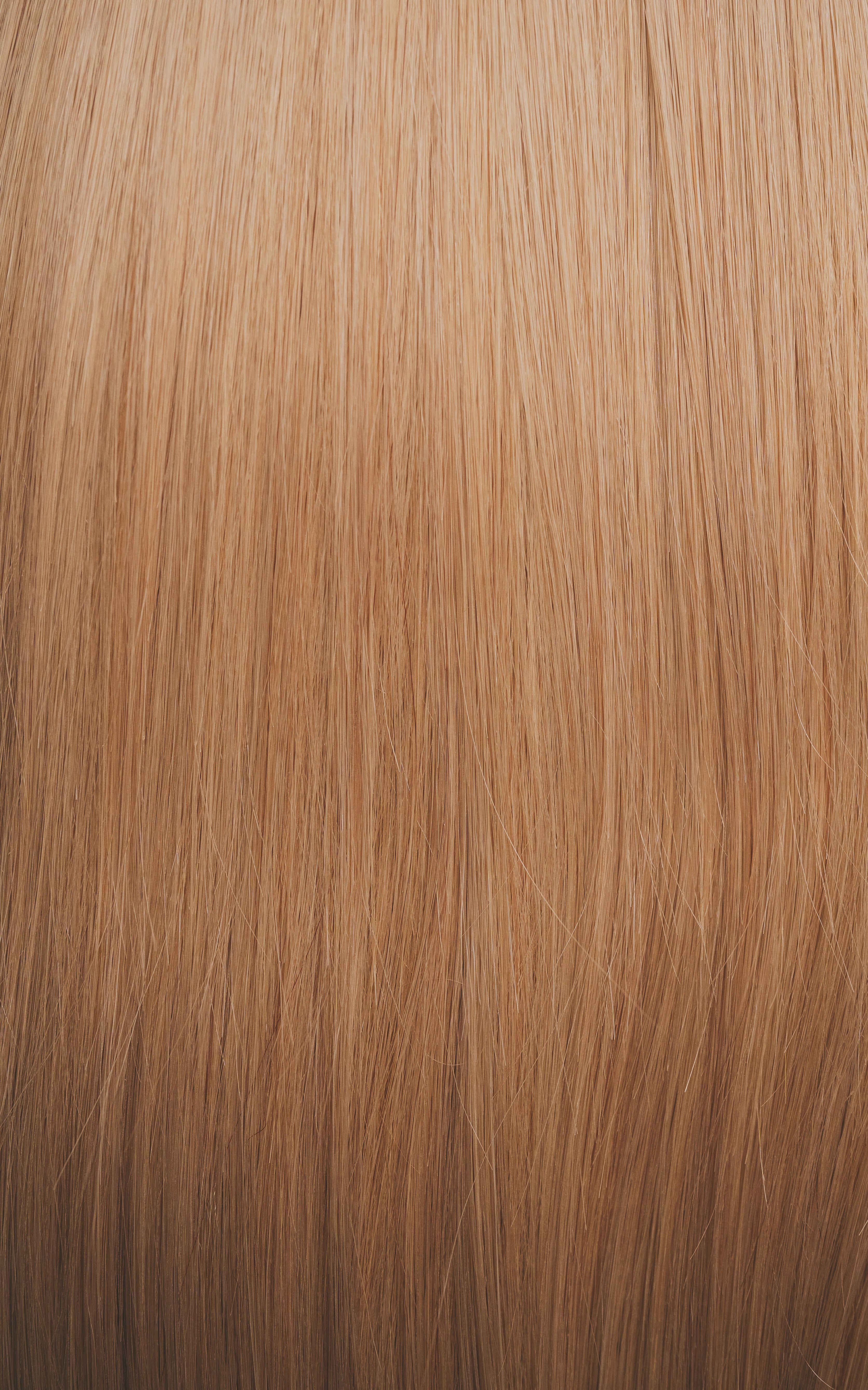 Beige Blonde (#9c) - Slavic Clip-In Extensions