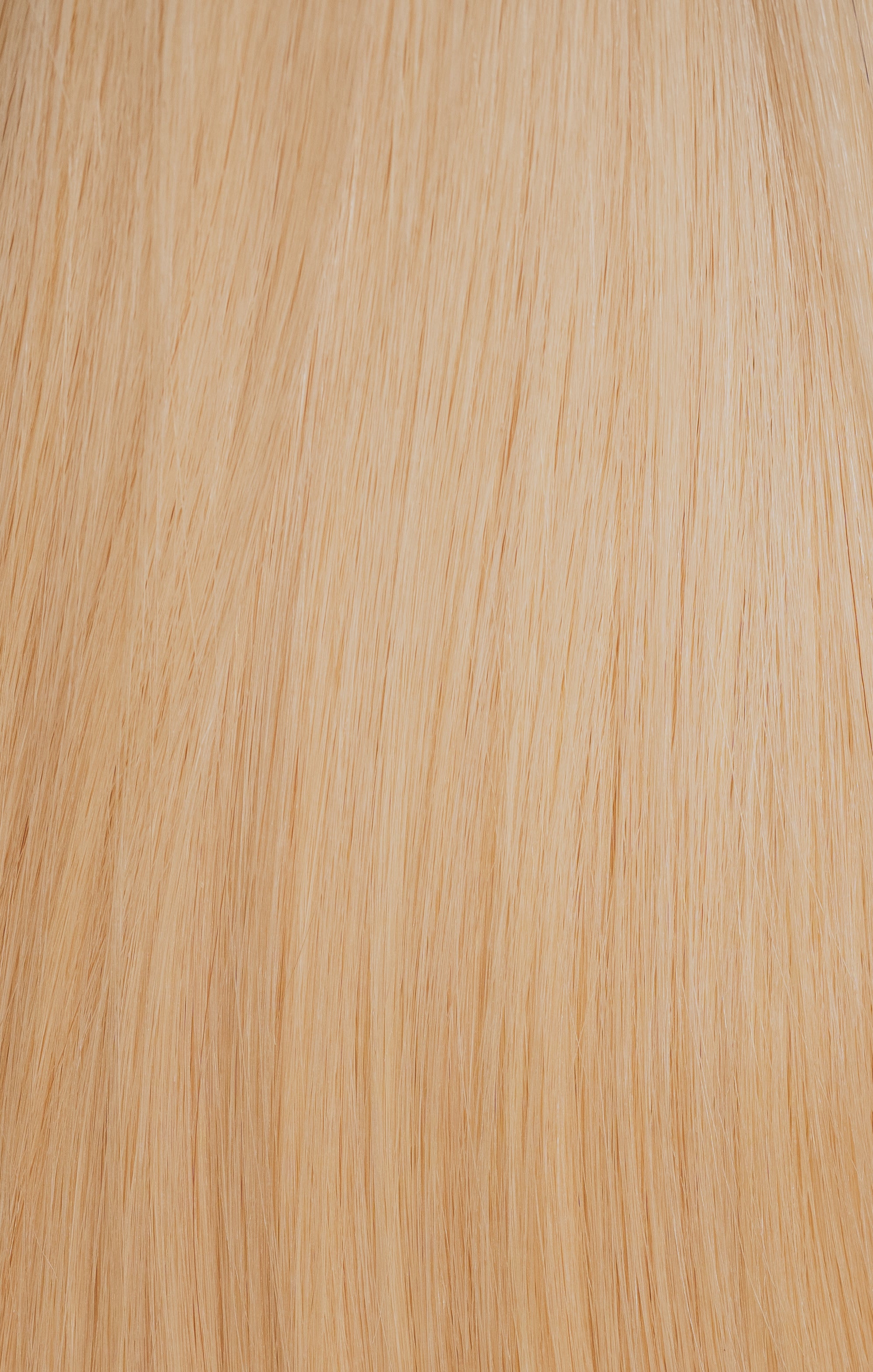 Warm Platinum (#60c) - Slavic Clip-In Extensions