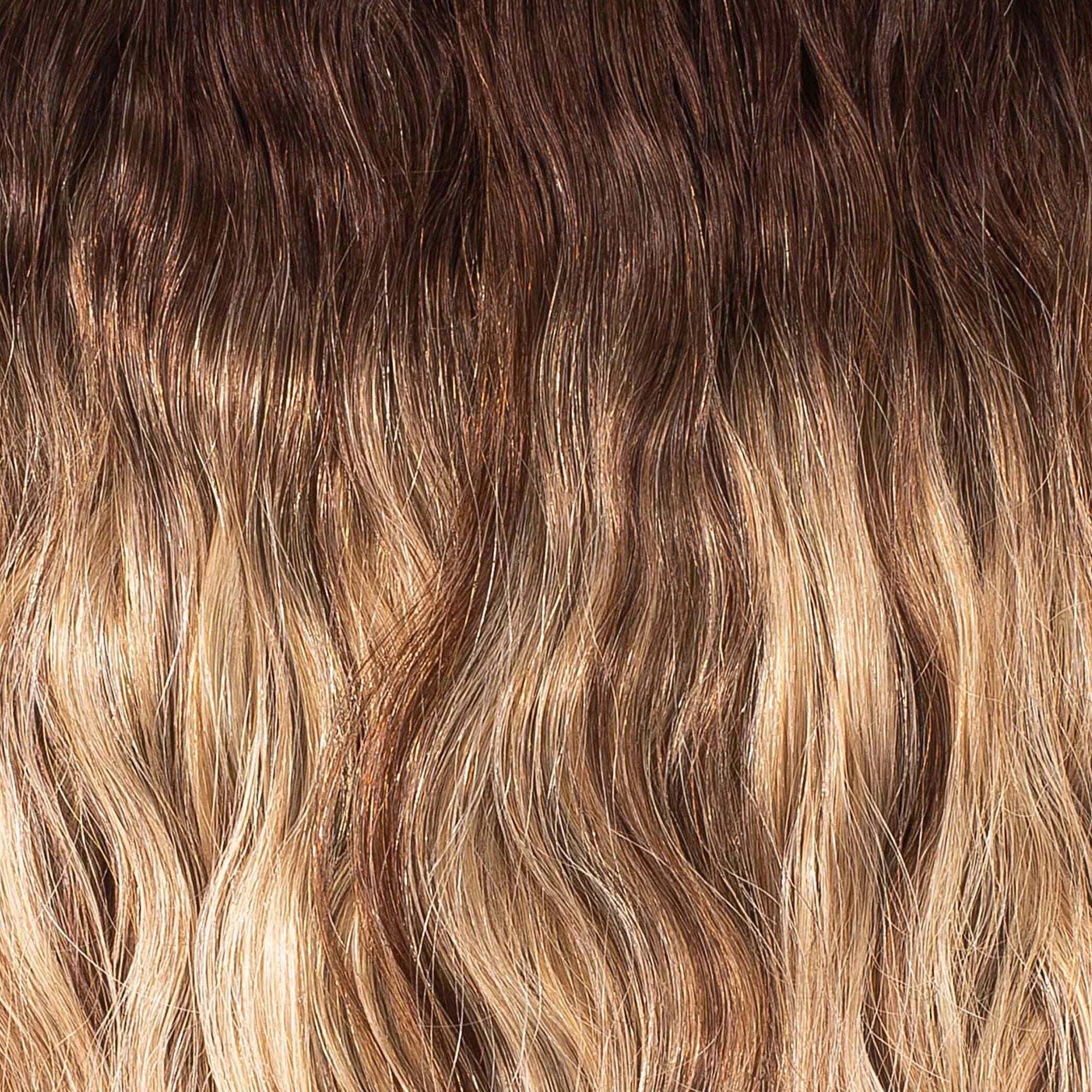 Teddy Bear Cuddles-Ombre Bronde 7A