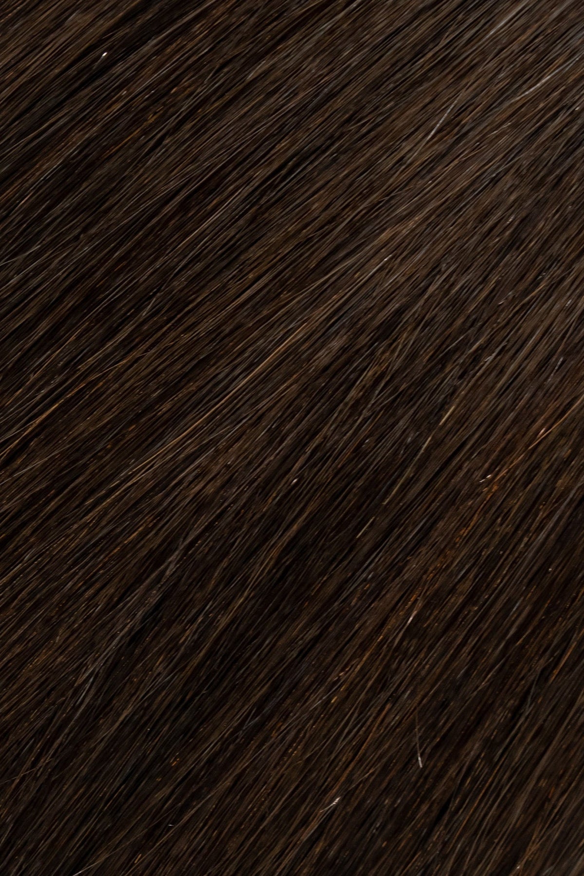Perlino (#3) Sun Warmed Saddle Signature K-Tip hair extensions