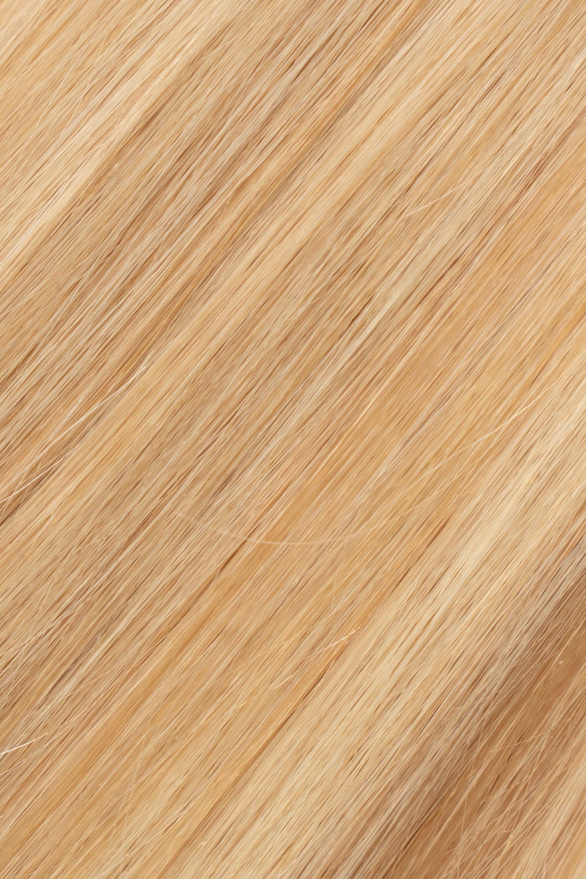 Perlino (#10/8WBL) Tape-In tape-in hair extensions