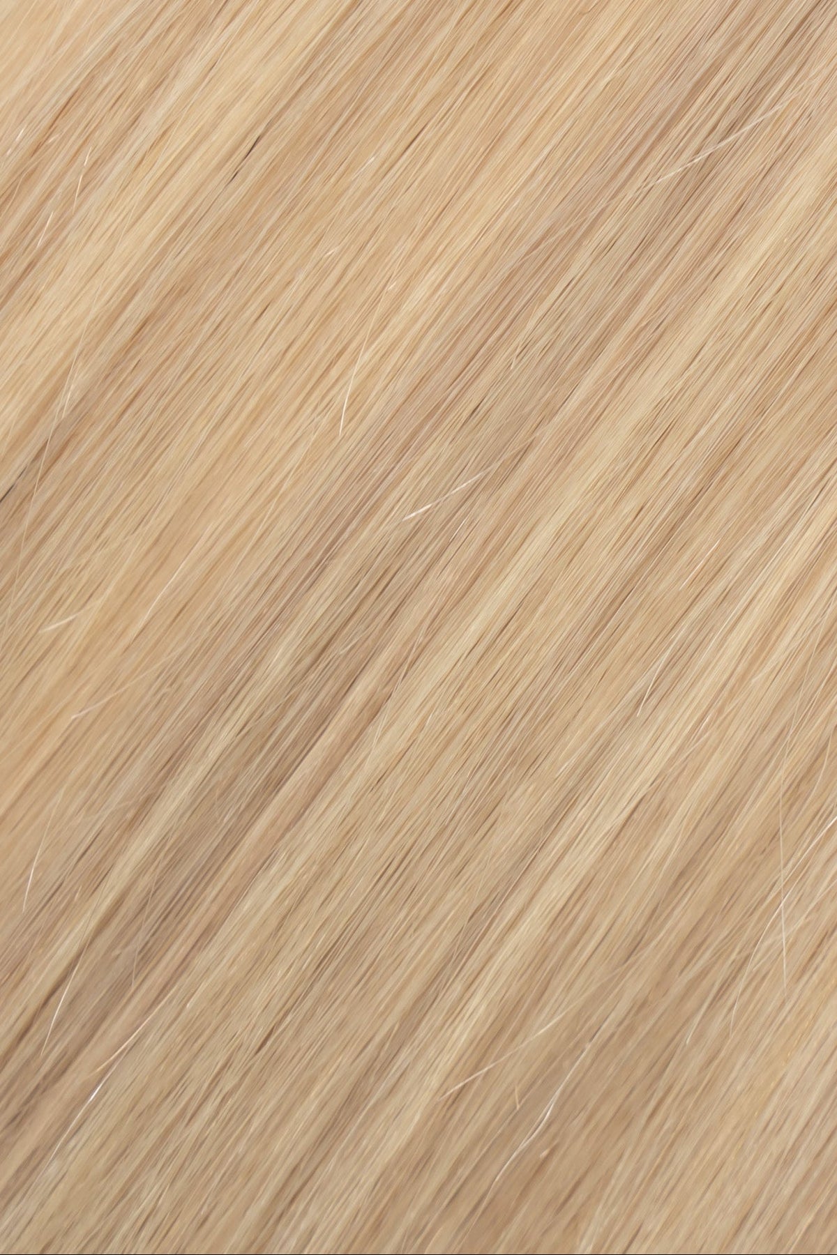 Perlino (#14) Tape-In tape-in hair extensions