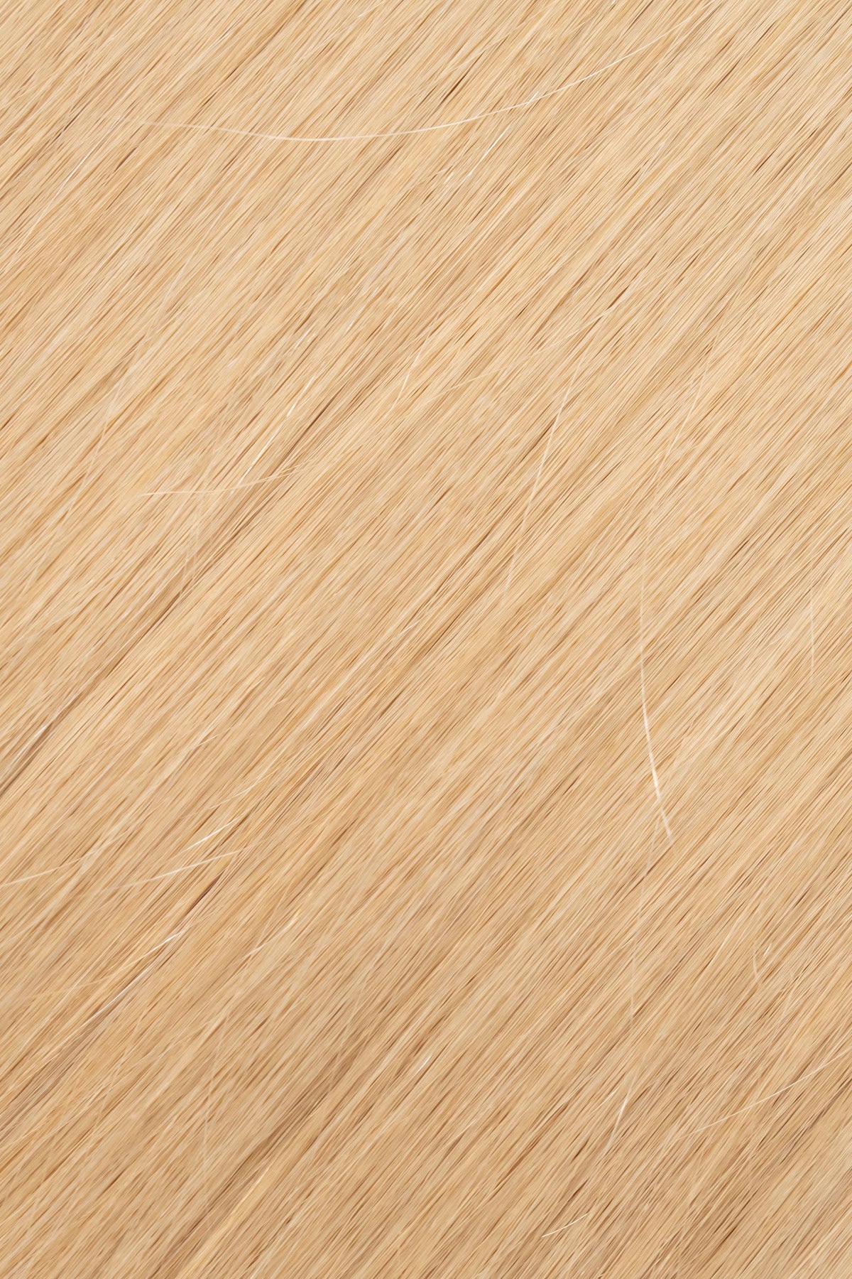 Perlino (#9WBL) Tape-In tape-in hair extensions